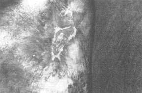 gr0000031.jpg (6406 byte)