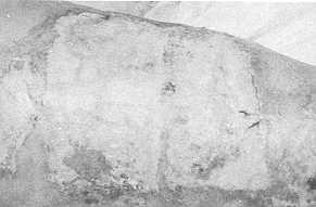 gr0000035.jpg (6210 byte)