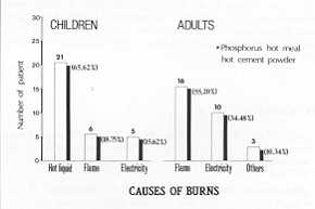 Fig. 2 Burn Causes in 61 patients.