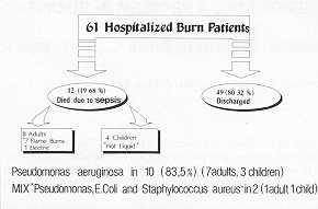 Fig, 3 Mortality and Infectious Complication Rate in 61 patients.