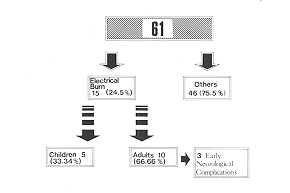 Fig. 1 Analysis of 61 patients with respect to burn causes.