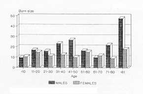 Fig. 4 Distribution of burn size by sex and age