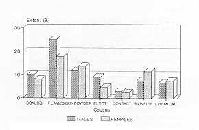 Fig. 5 Average bum size by sex and cause