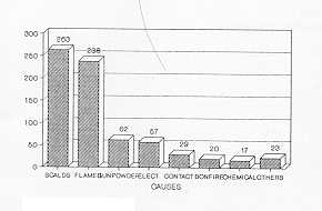 Fig. 8 Frequency of causes