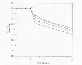 gr0000074.jpg (4093 byte)