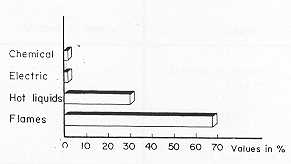 Fig. 2 Causes of bums in Assiut Province