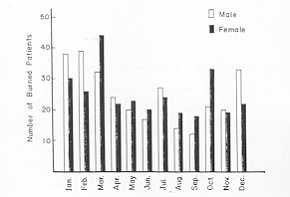Fig. 4 Seasonal distribution of bum accidents