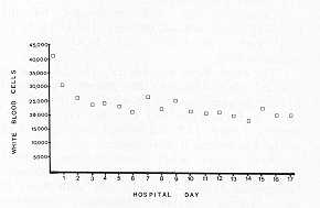 Fig. 2 Values of W.BC count during hospitalization