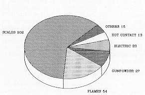 Fig. 5 Causes
