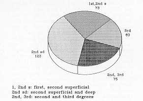 Fig. 7 Bum depth