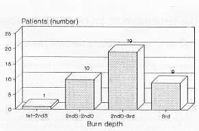 Fig. 4 Distribution by burn depth