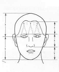 Fig. 2 Leonard's ratios of Case 1. Longitudinal narrowing in the upper two thirds is noticed.