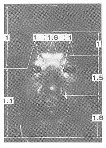 Fig. 9 Leonard's ratios of Case 2.