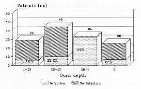 Fig. 4 Infection/burn depth relationship.