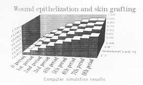 Fig. I. Comparison between the various methods of wound coverage from computer simulation results.