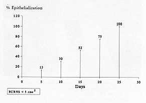 Table 2 Mean epithelialization percentages