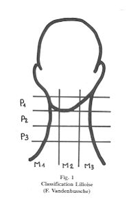 Fig. 1 Classification Lilloise (F. Vandenbussche)