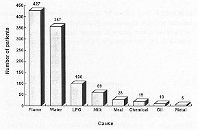 Fig. 4 Causes of the non-electrical bums