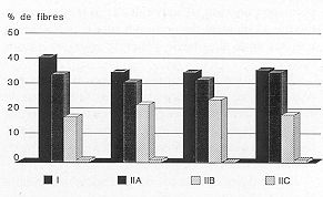 Fig. 2 Typologie musculaire: rsultats individuels.