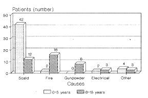 Fig. 1 Causes of burns by age.