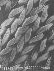 Fig. 3 Surface of PNIX-1).