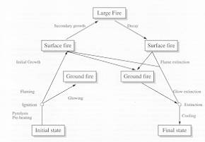 Fig. 1 Phases of development and propagation regimes of a forest fire.