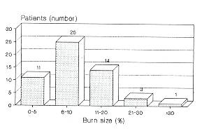 Fig. 4 Distribution by burn size.