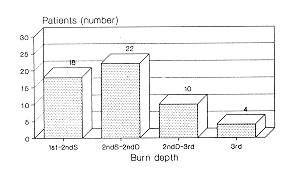 Fig. 6 Distribution by burn depth.