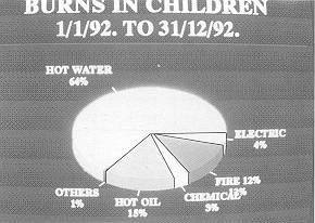 Fig. 3 Causes of Burn.