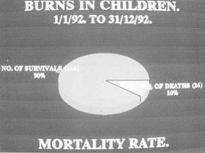 Fig. 5 Mortality rate.
