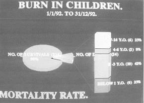 Fig. 6 Mortality rate, age distribution.
