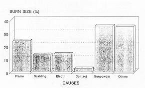 Fig. 10 Distribution by aetiology and burn cause