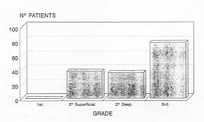 Fig. 3 Grade of burn