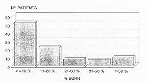 Fig. 4 Distribution by body surface burned