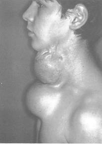 img0000061.jpg (5680 byte)
