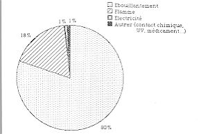 Fig. 4 - Répartition des enfants agés de moins de 4 ans selon l'étiologie de la brûlure.
