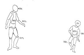 Fig. 6 - Fréquence des lésions selon la topographie.