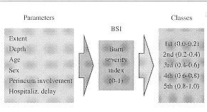 Tab. I - Burn severity index (BSI)