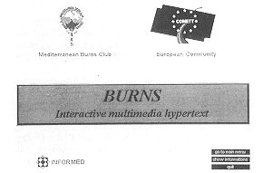 Fig. 1 - "Burns": a multimedia teaching system in the field of burns.