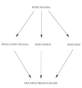 Fig. 1 - Rise of multiple organ failure.