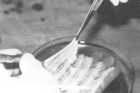 Fig. 3 - RHPS peeled off without enzyinatic release. The struc-turc ofRIAPS is similar to that of normal skin.