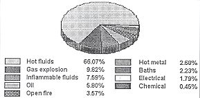 Fig. 3a - Distribution of causes of burns at home.