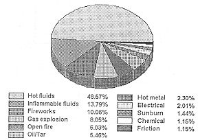 Fig. 3c - Total distribution of causes of burns.