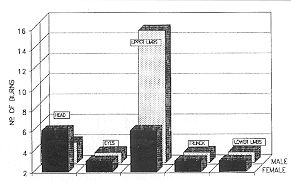 Fig. 4 - Fireworks burns in children by sex and location.