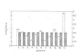 Fig. 2 - Practical and theoretical use of HSS forinula.