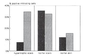 Fig. 3 - Percentage of cells producing TNF(x and 8 in samples of hypertrophic scars (N'=14), normal scars (N*=7) and healthy skin (N'=6).