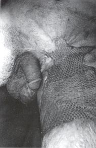 img0000031.jpg (11866 byte)