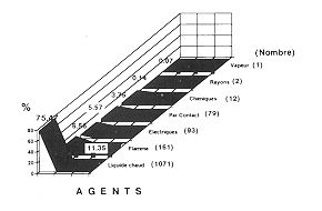 Fig. 1 - Causes des brulures.