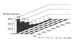 Fig. 6 - Répartition des cas selon l'étendue de la surface brûlée.