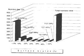 Fig. 7 - Rpartition des cas selon l'tendue des brlures profondes.